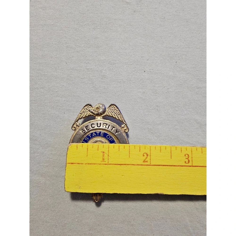 Vintage State Of Georgia Security Officer Badge Gold Tone Blue Enamel Eagle Pin